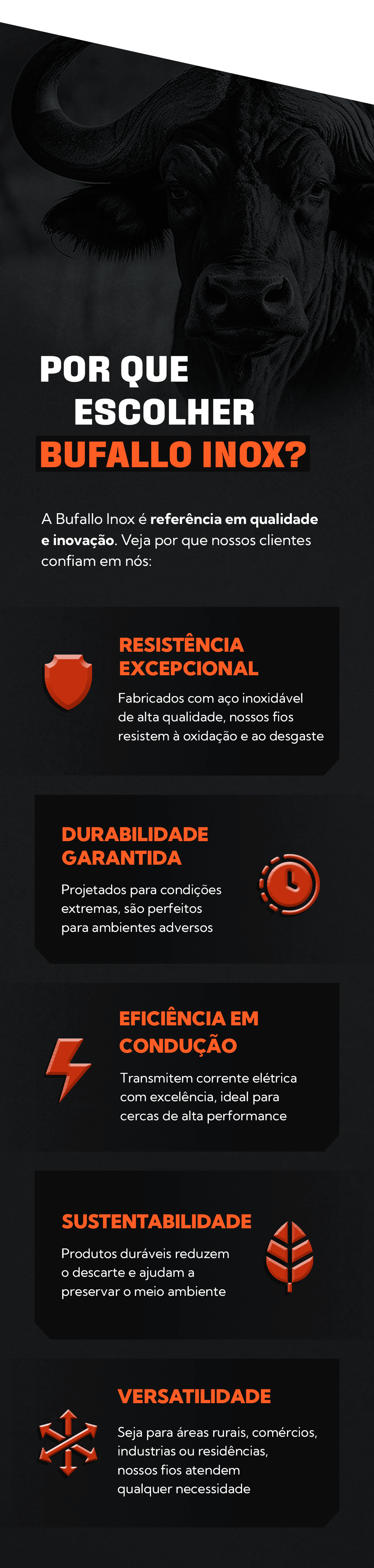 Bufallo Inox