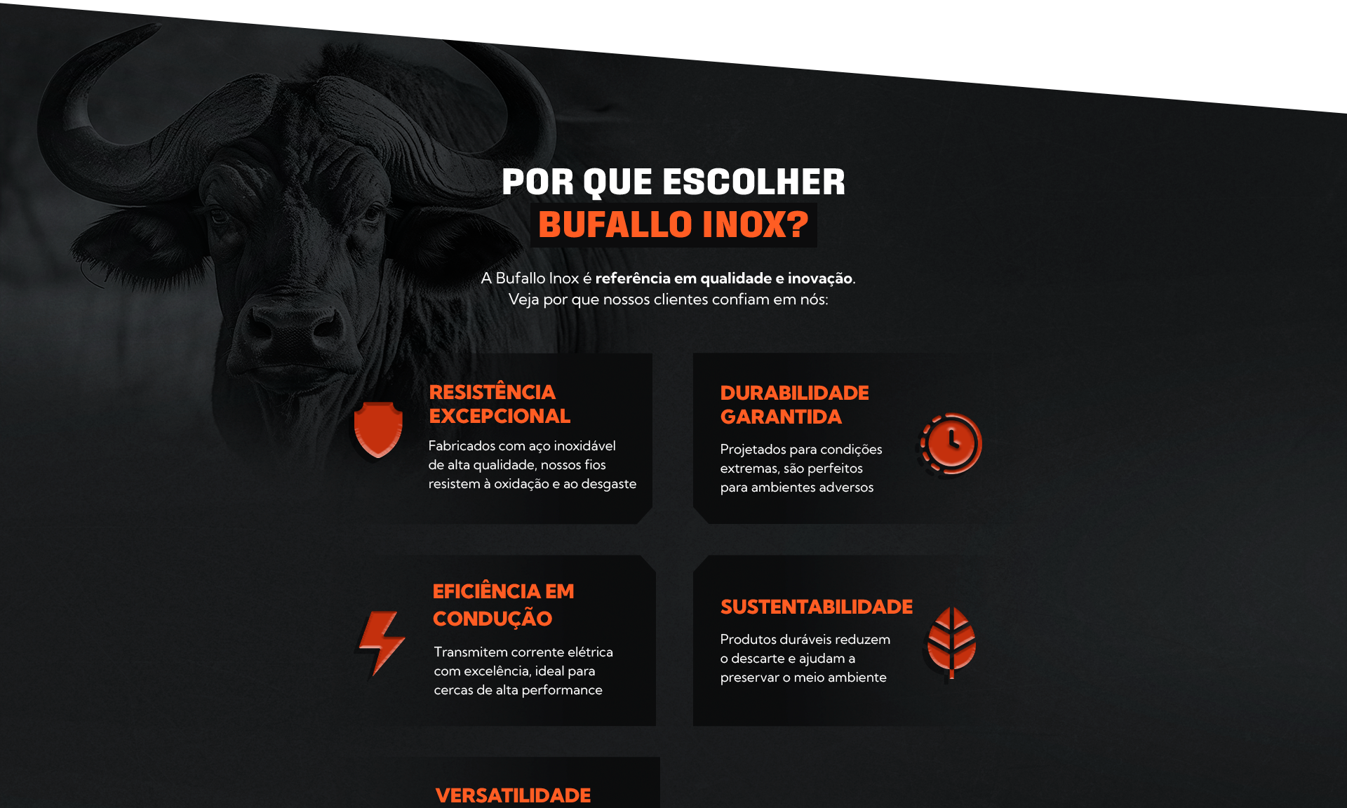 Bufallo Inox